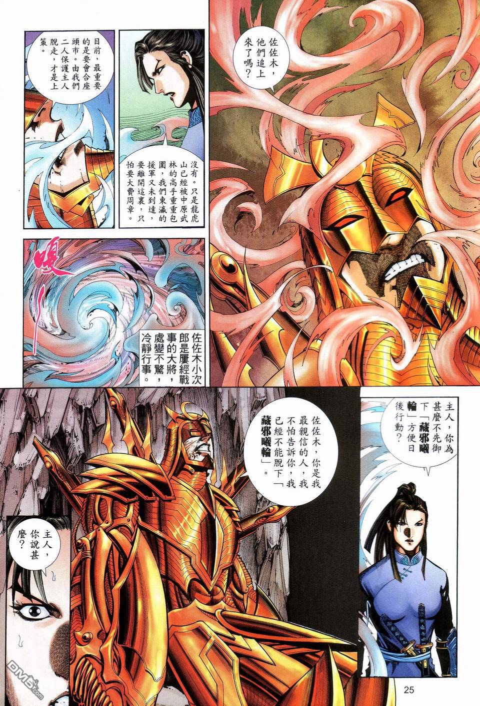 第 25 页