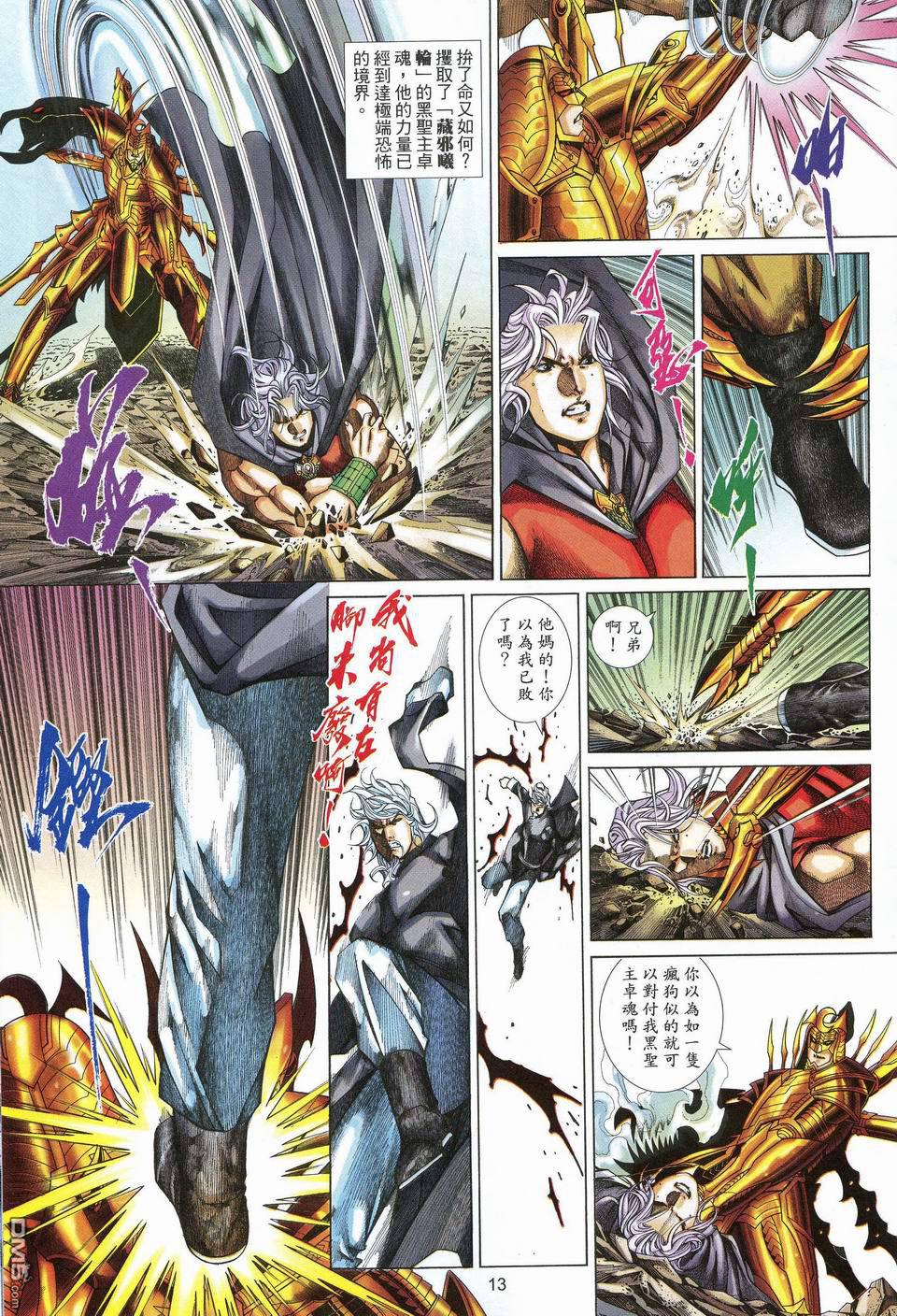 第 13 页