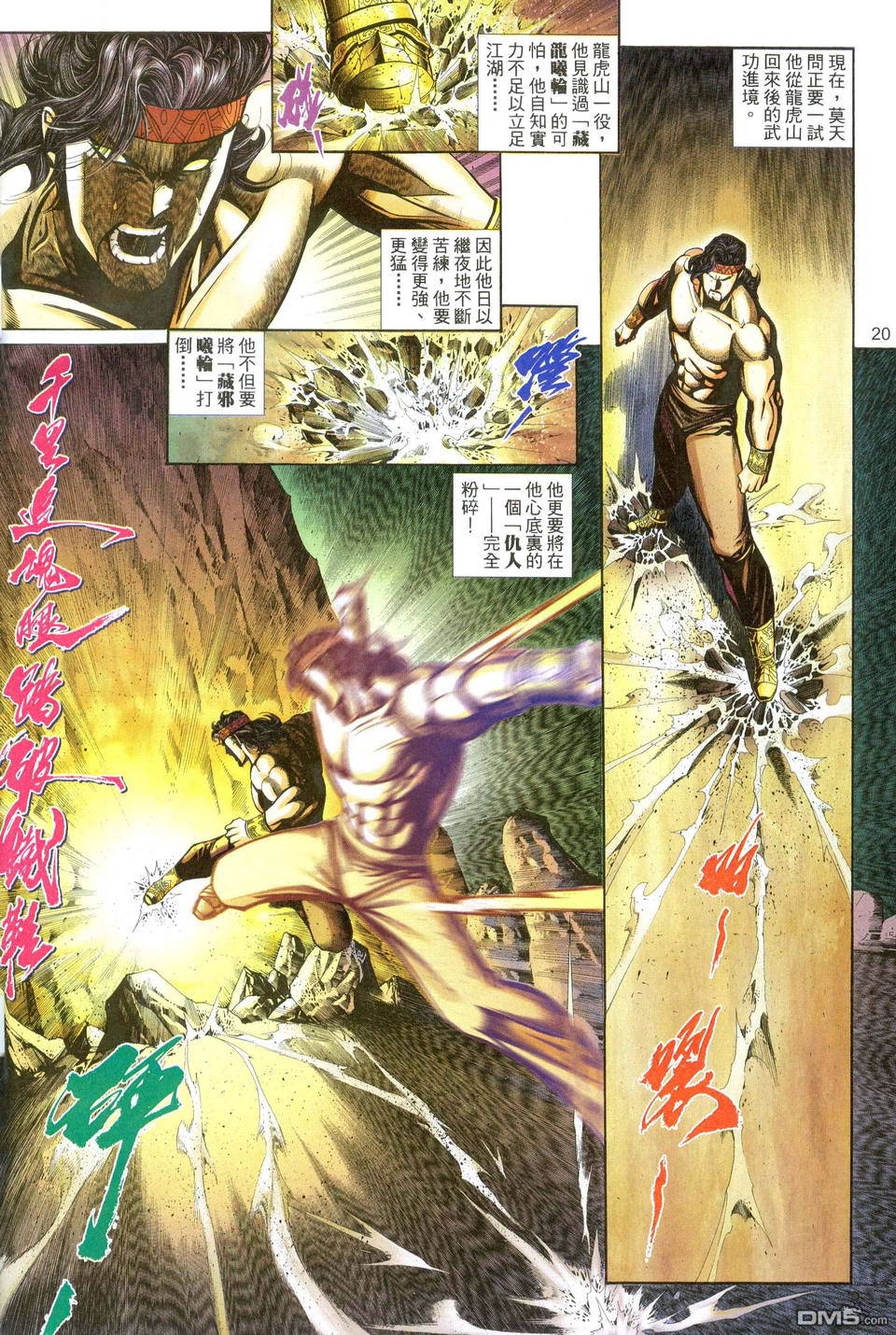 第 20 页