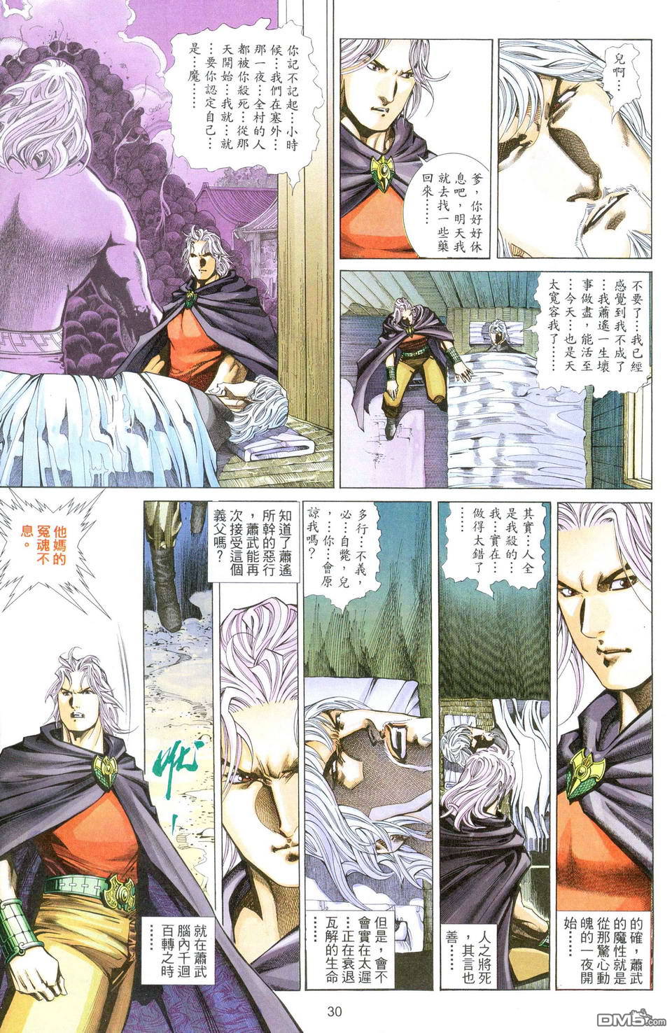 第 30 页