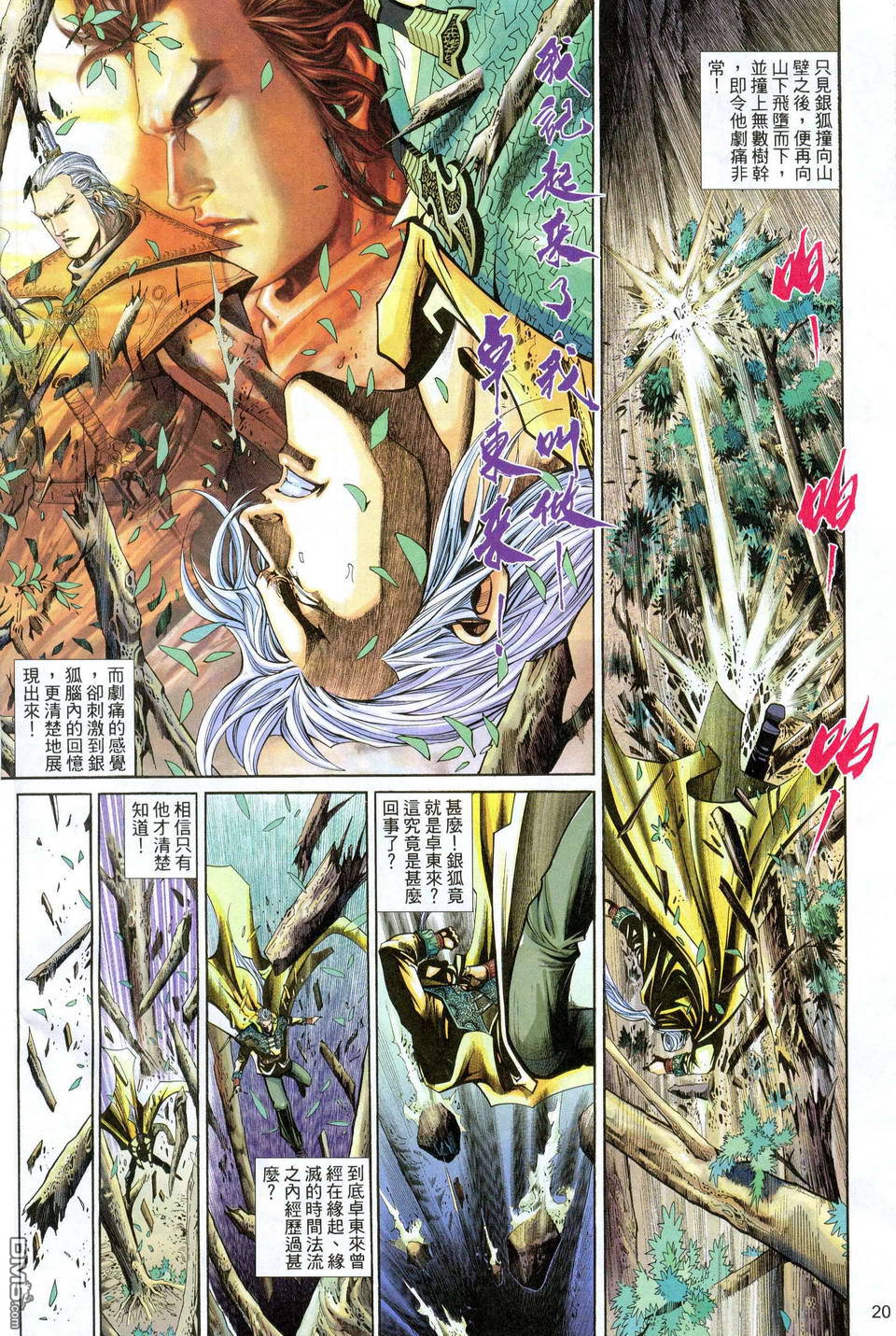 第 20 页