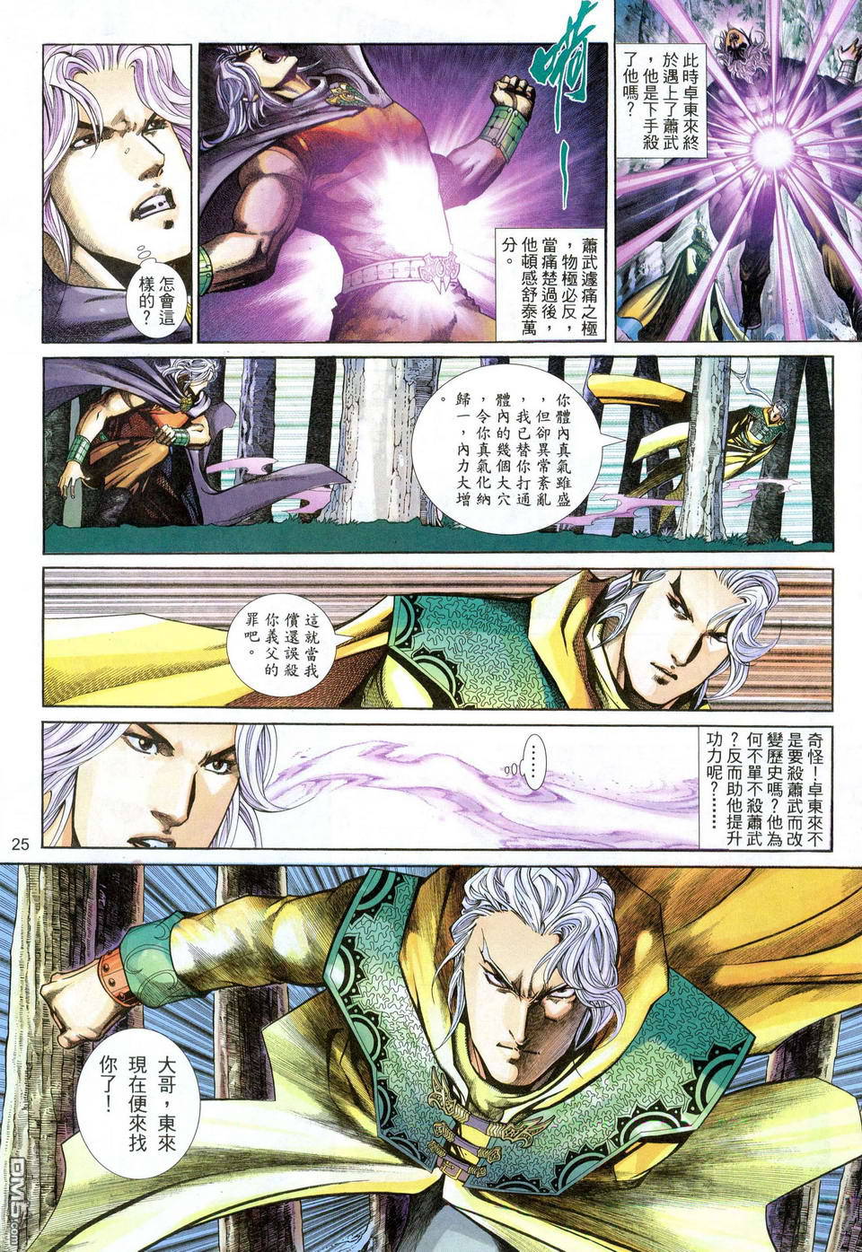 第 25 页