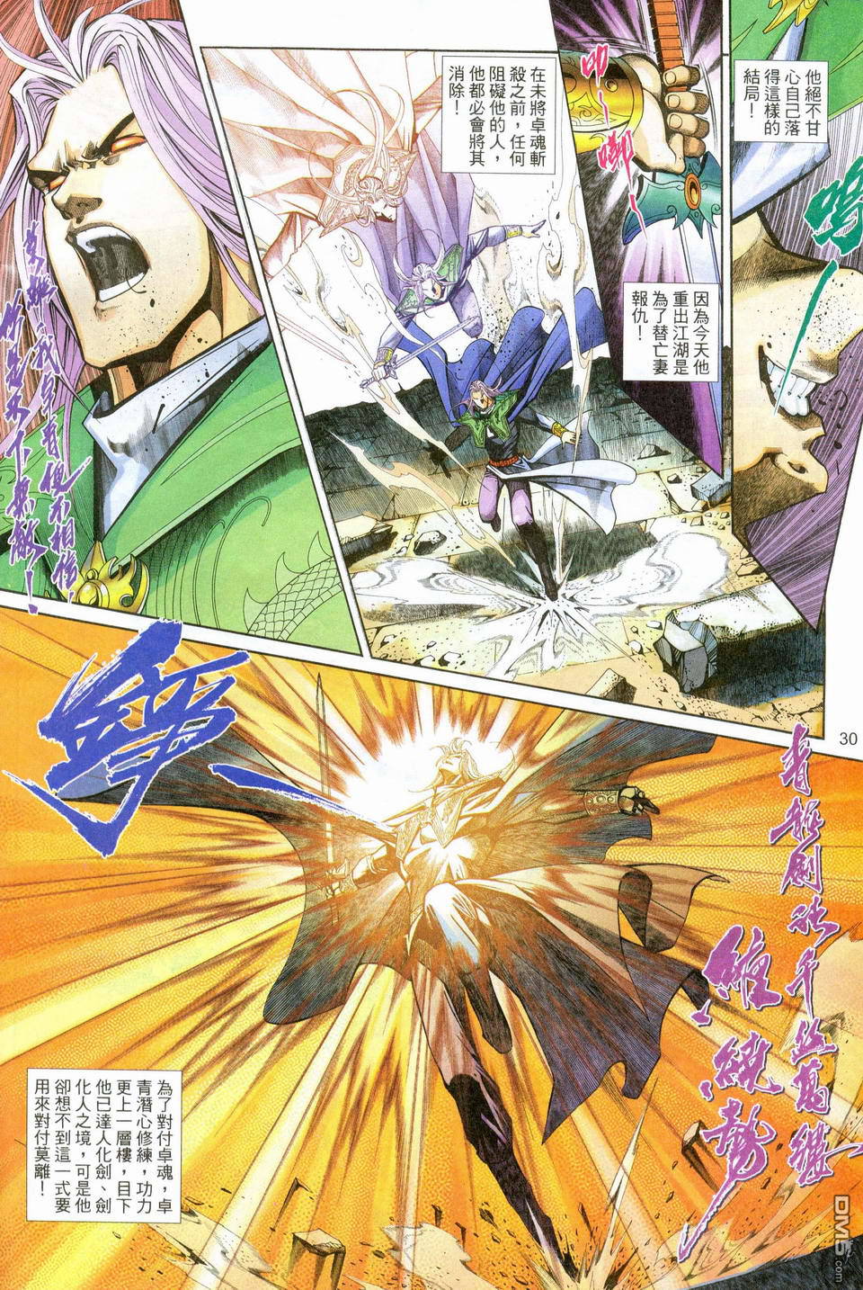 第 30 页