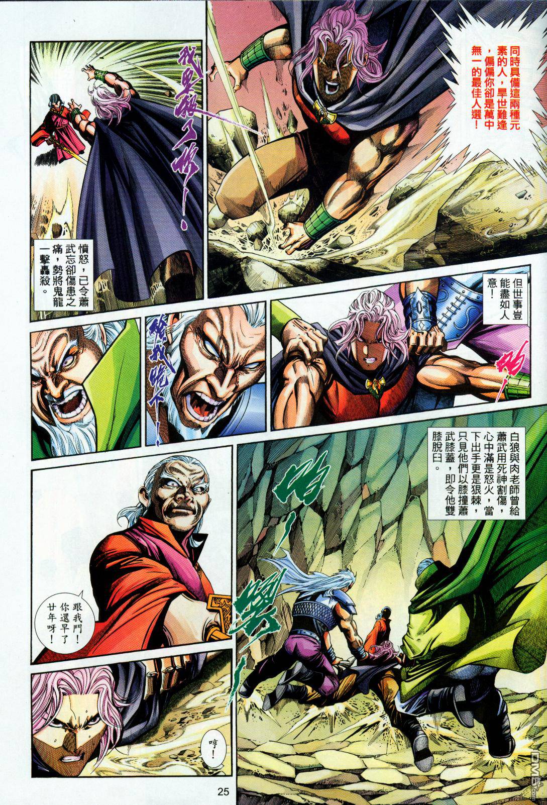第 25 页