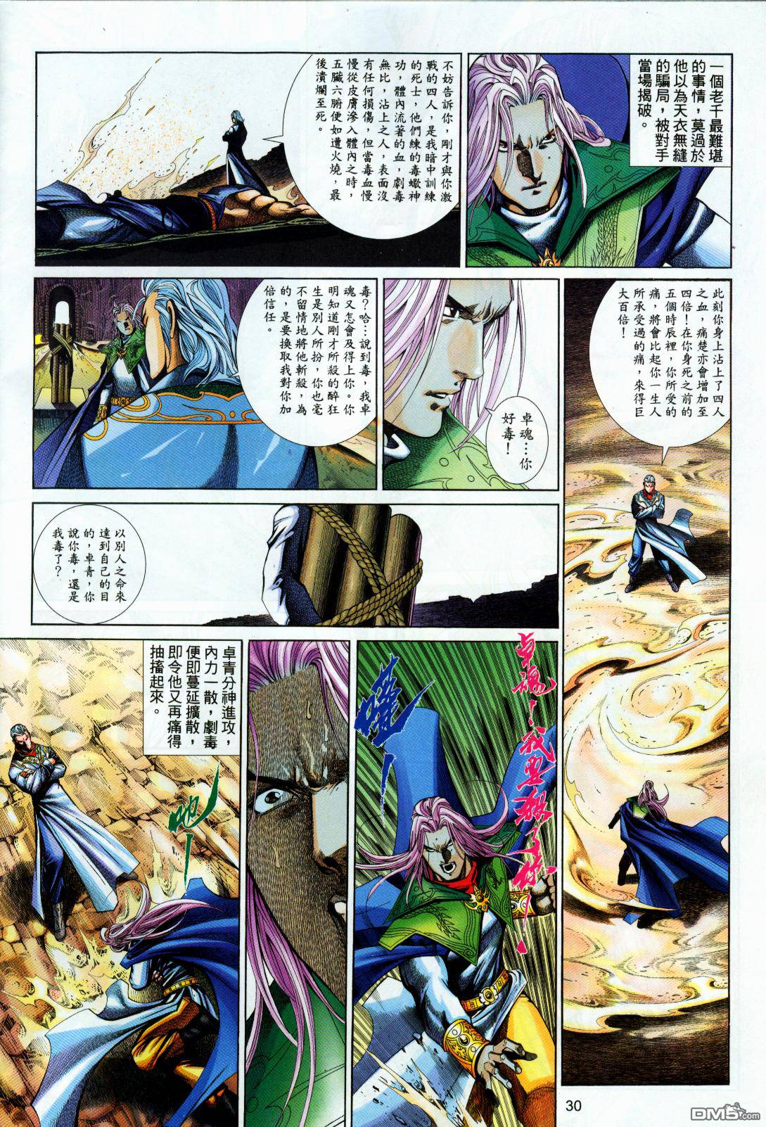 第 30 页