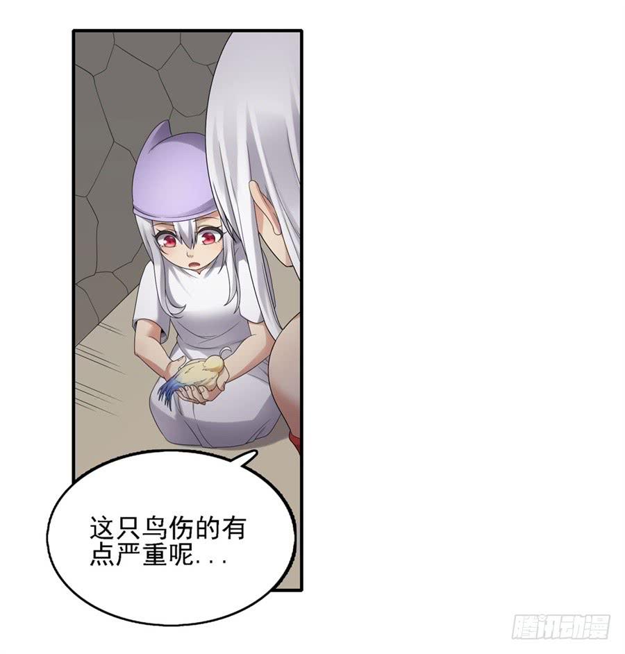 第 46 页