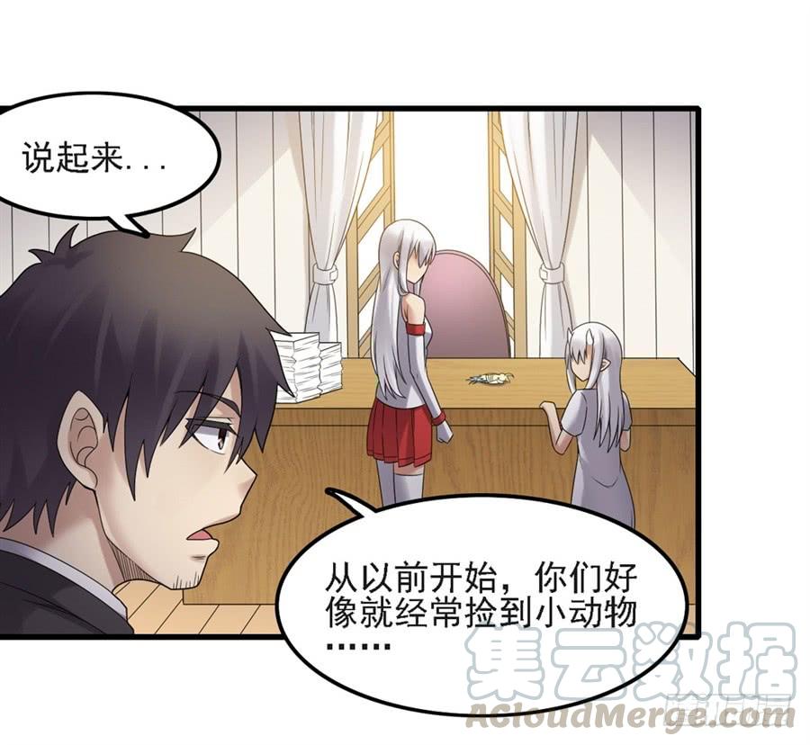 第 51 页