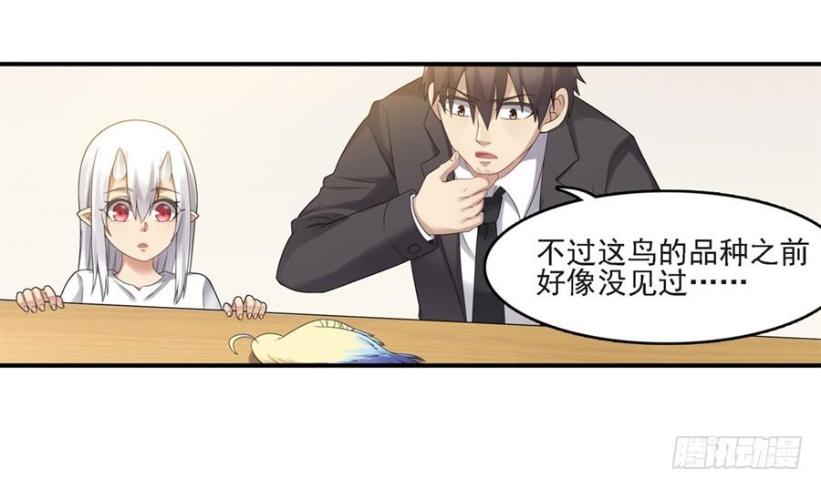 第 54 页