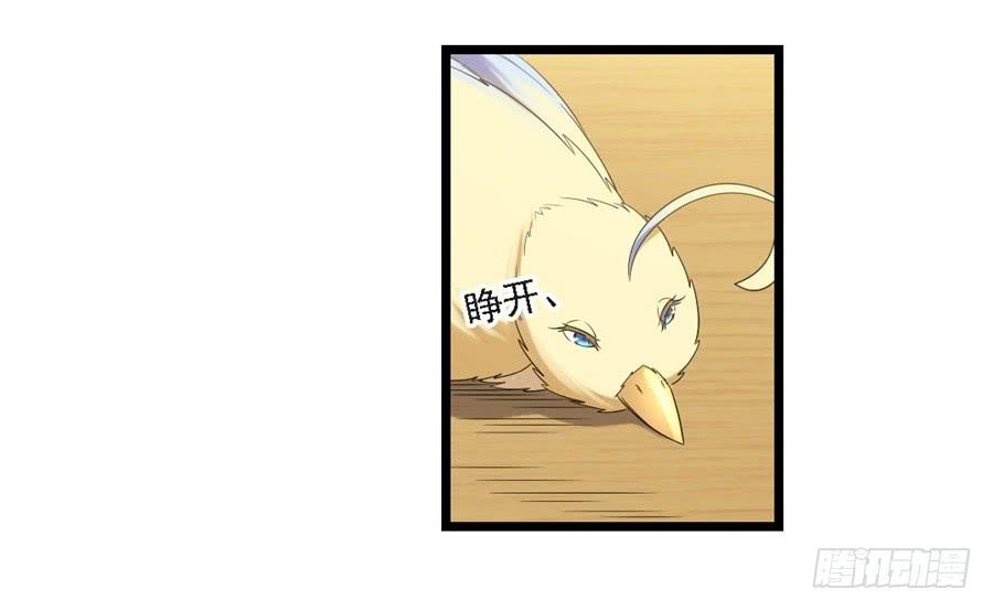 第 55 页