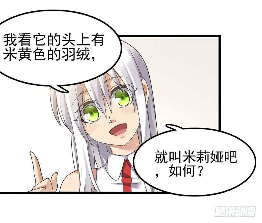 第 66 页