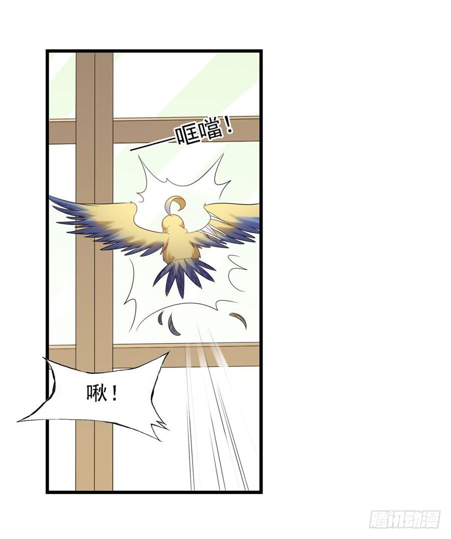 第 48 页