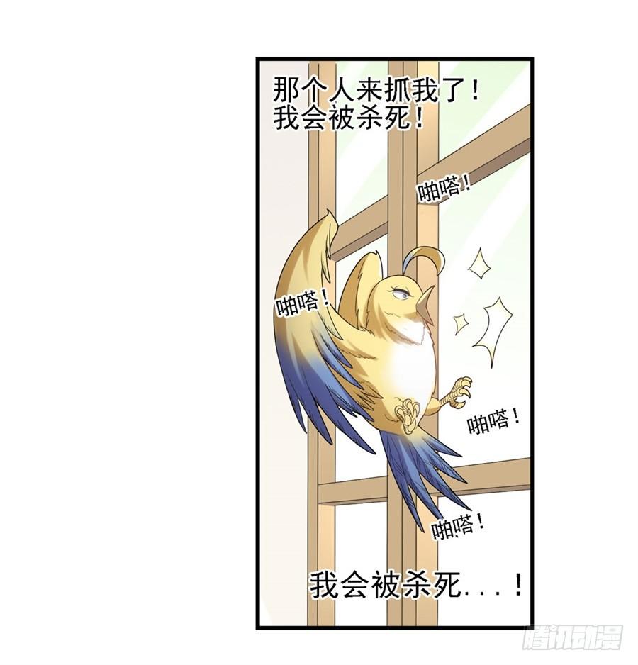 第 49 页