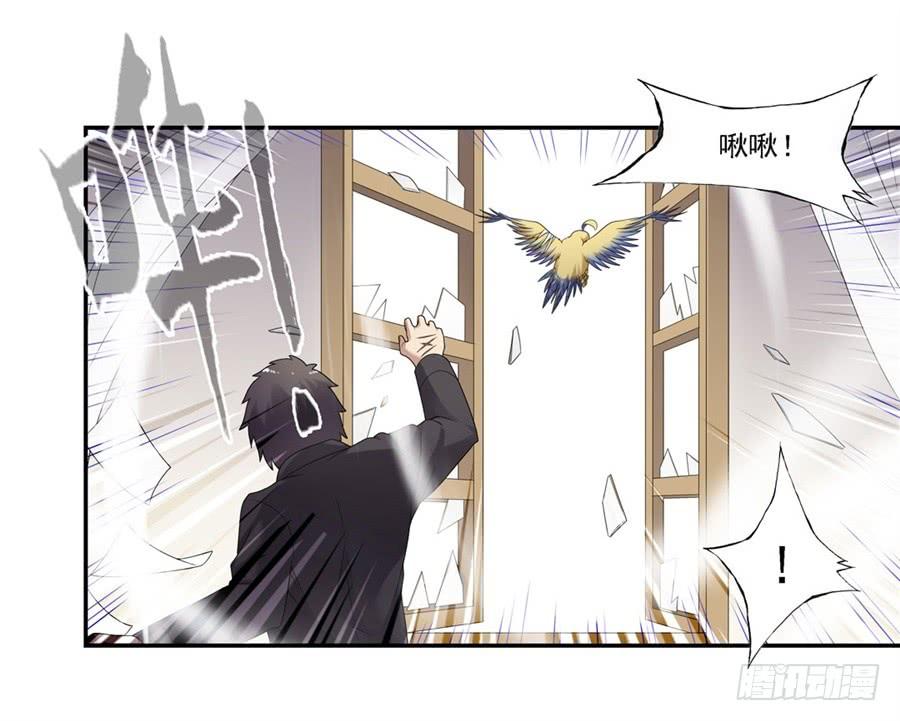 第 52 页