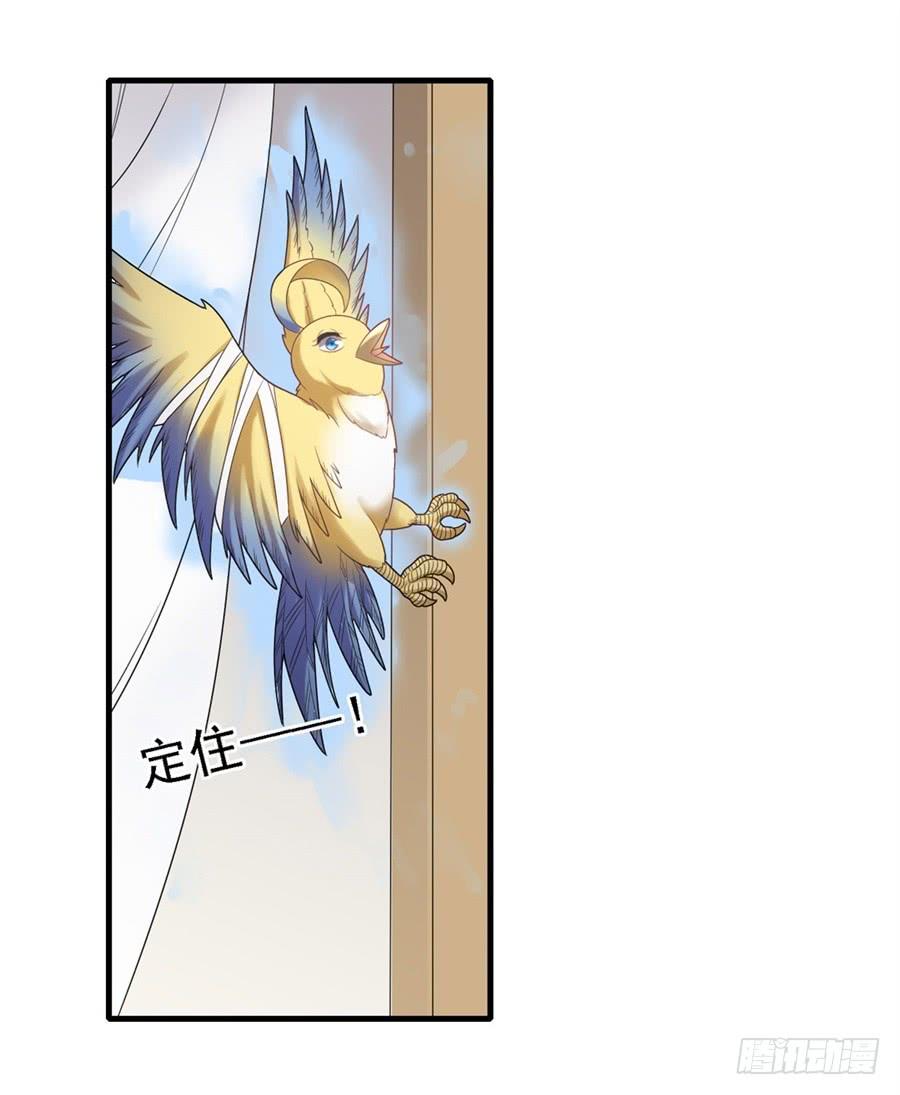 第 56 页