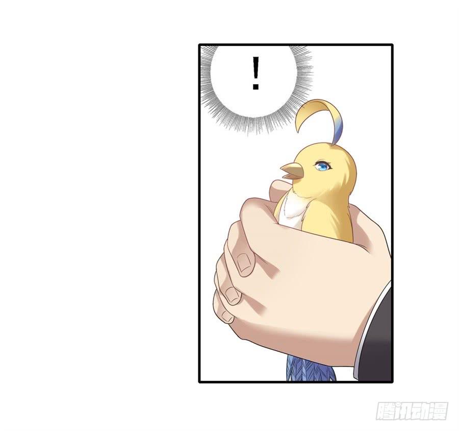 第 60 页
