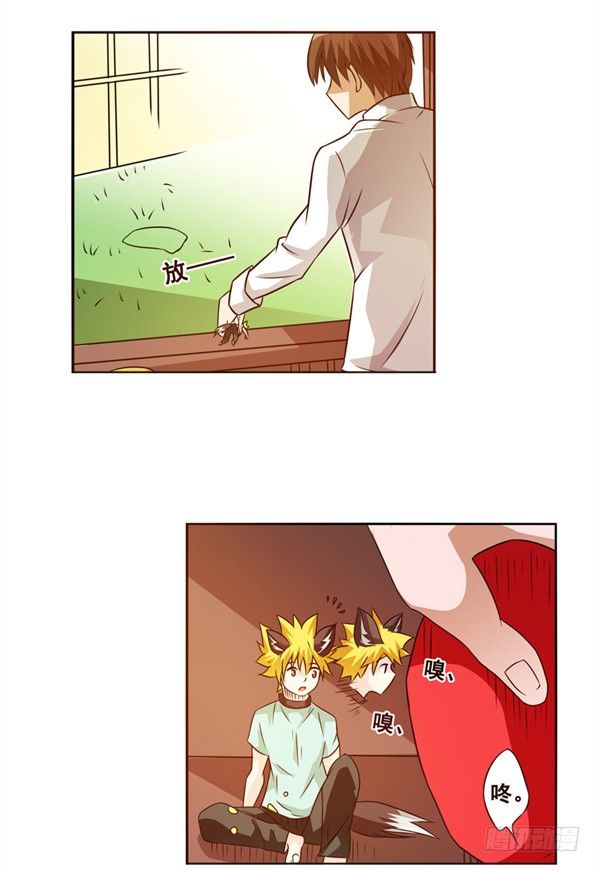 第 27 页
