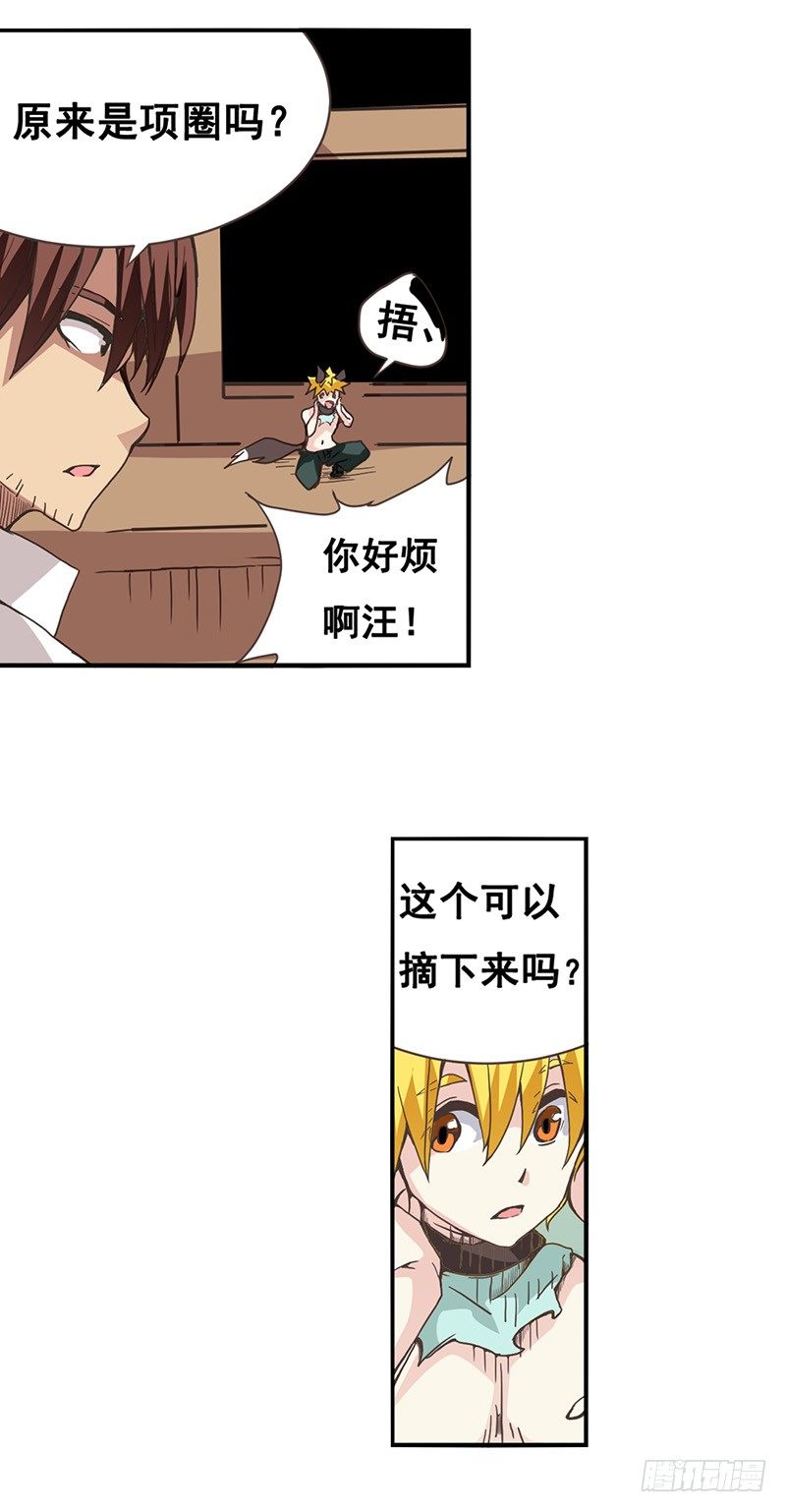 第 28 页