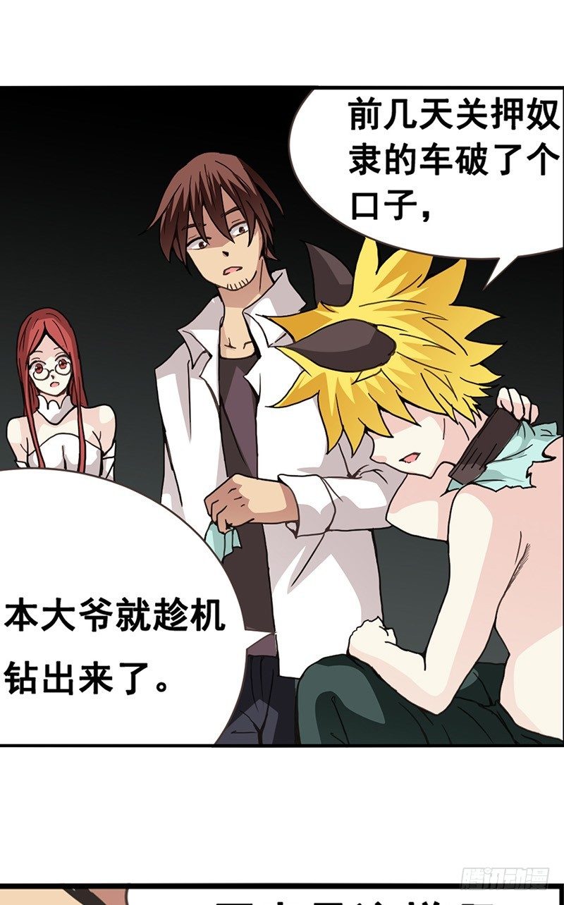 第 31 页