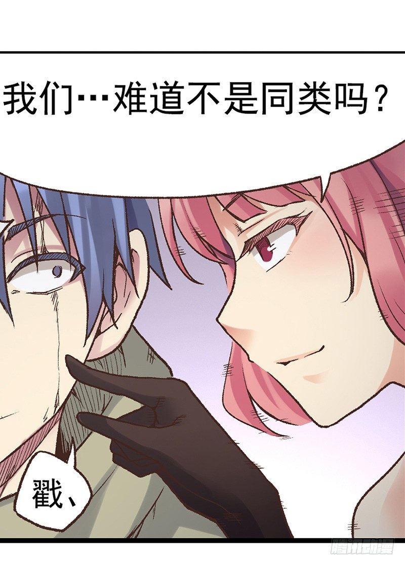 第 51 页
