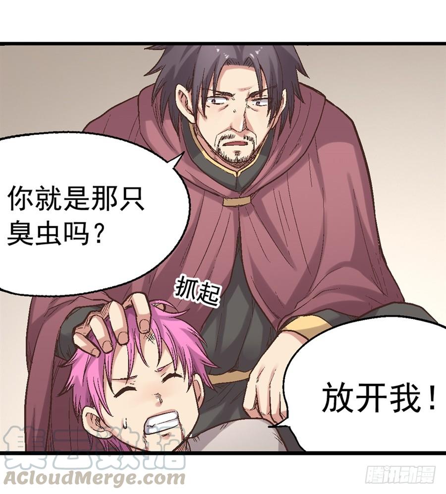 第 51 页