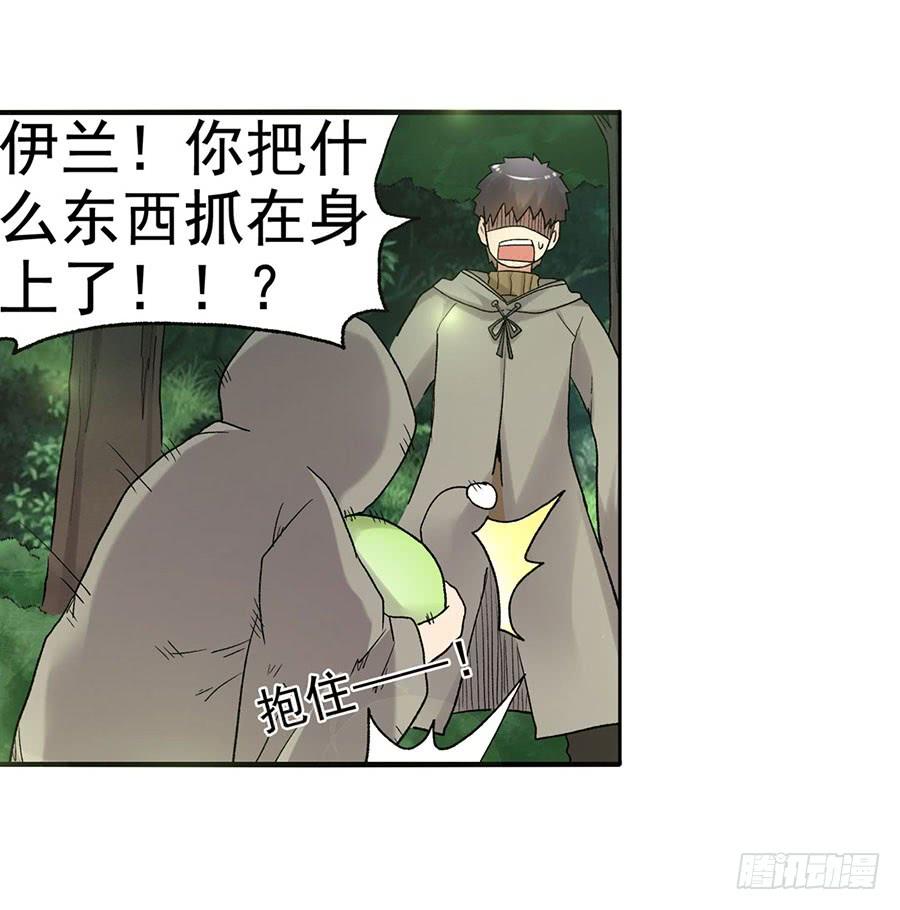 第 35 页
