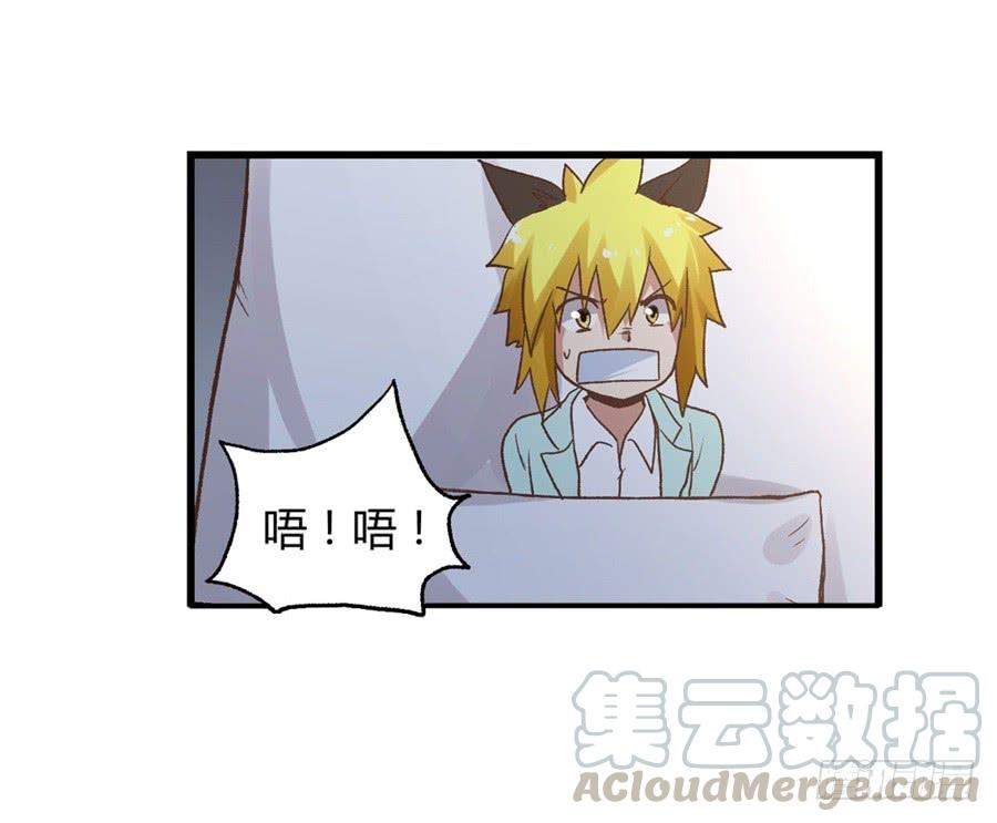 第 91 页
