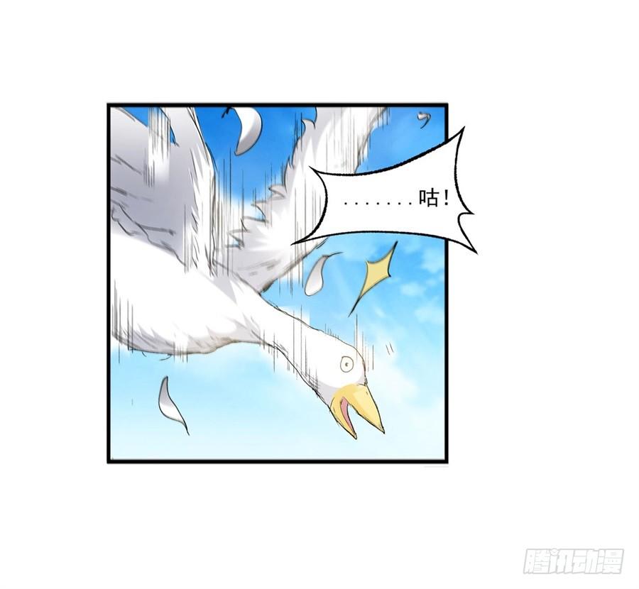 第 66 页