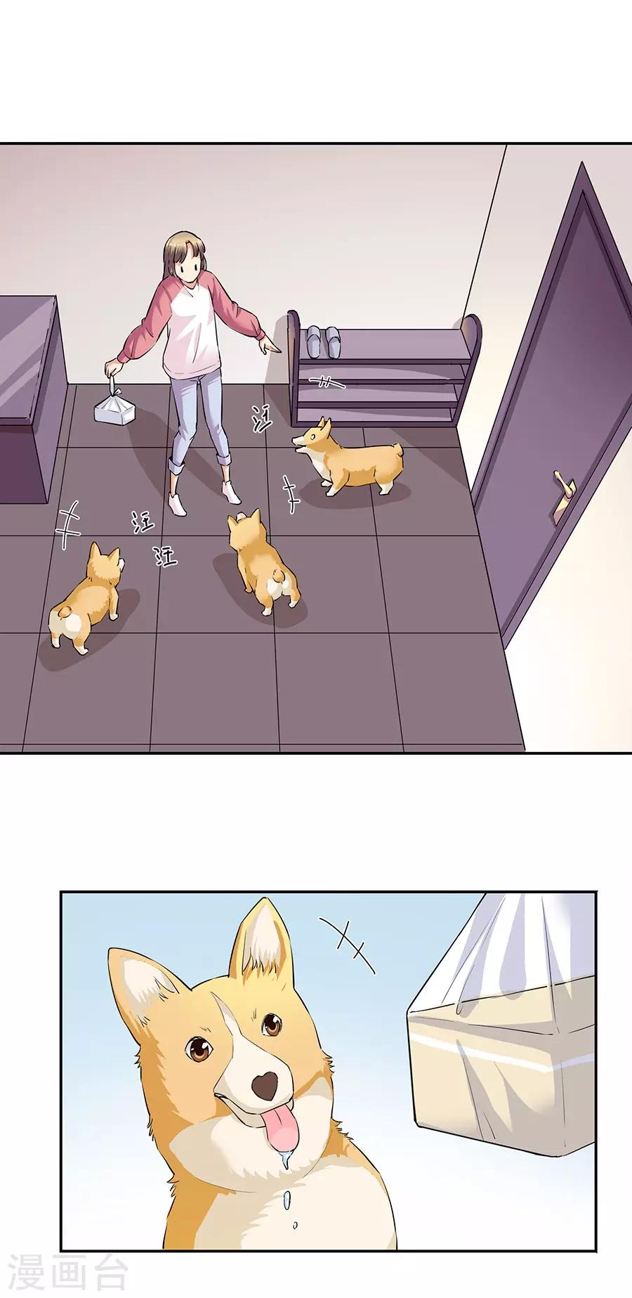 第 14 页