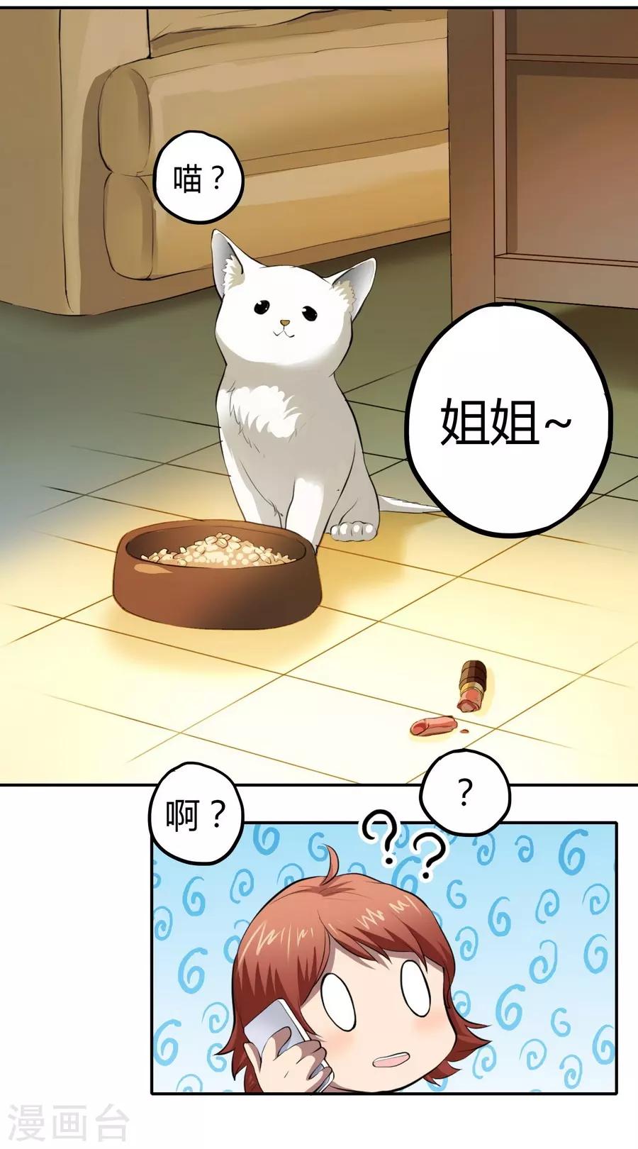 第 46 页