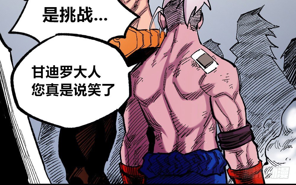 第 48 页