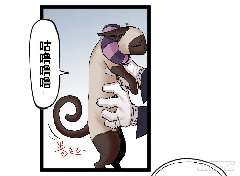 第 37 页