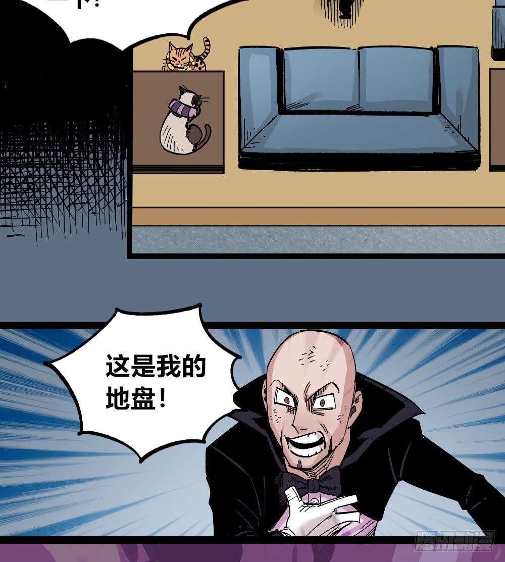 第 50 页