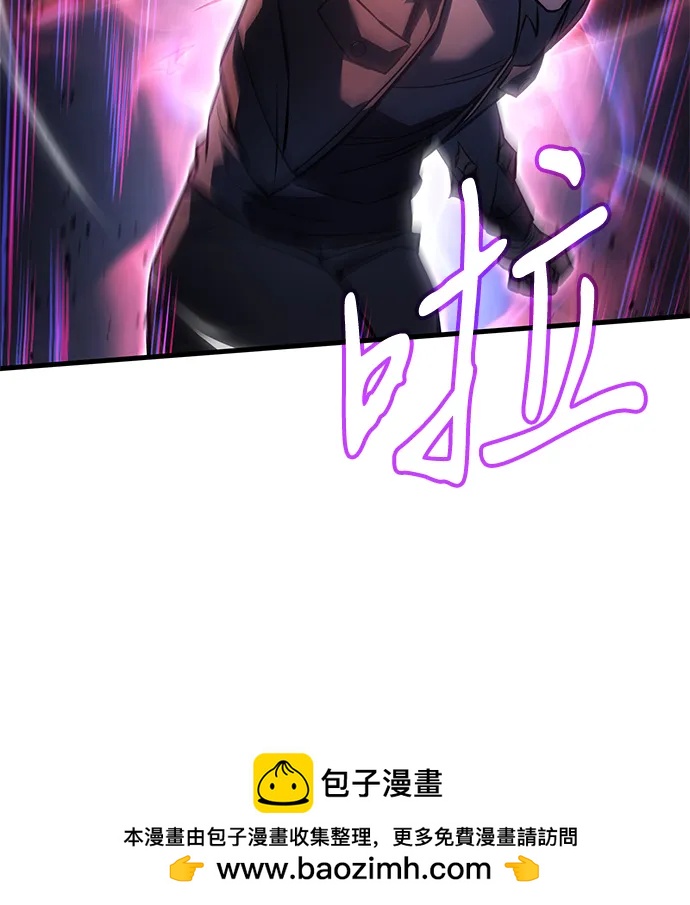 第 100 页