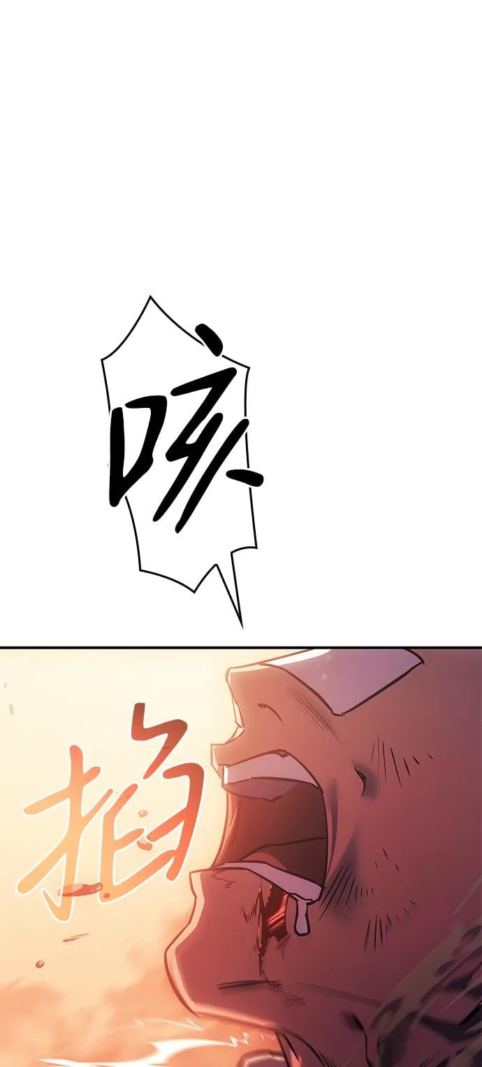第 111 页