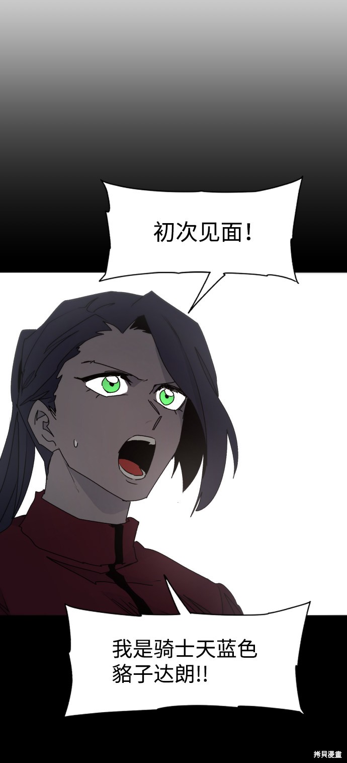 第 66 页