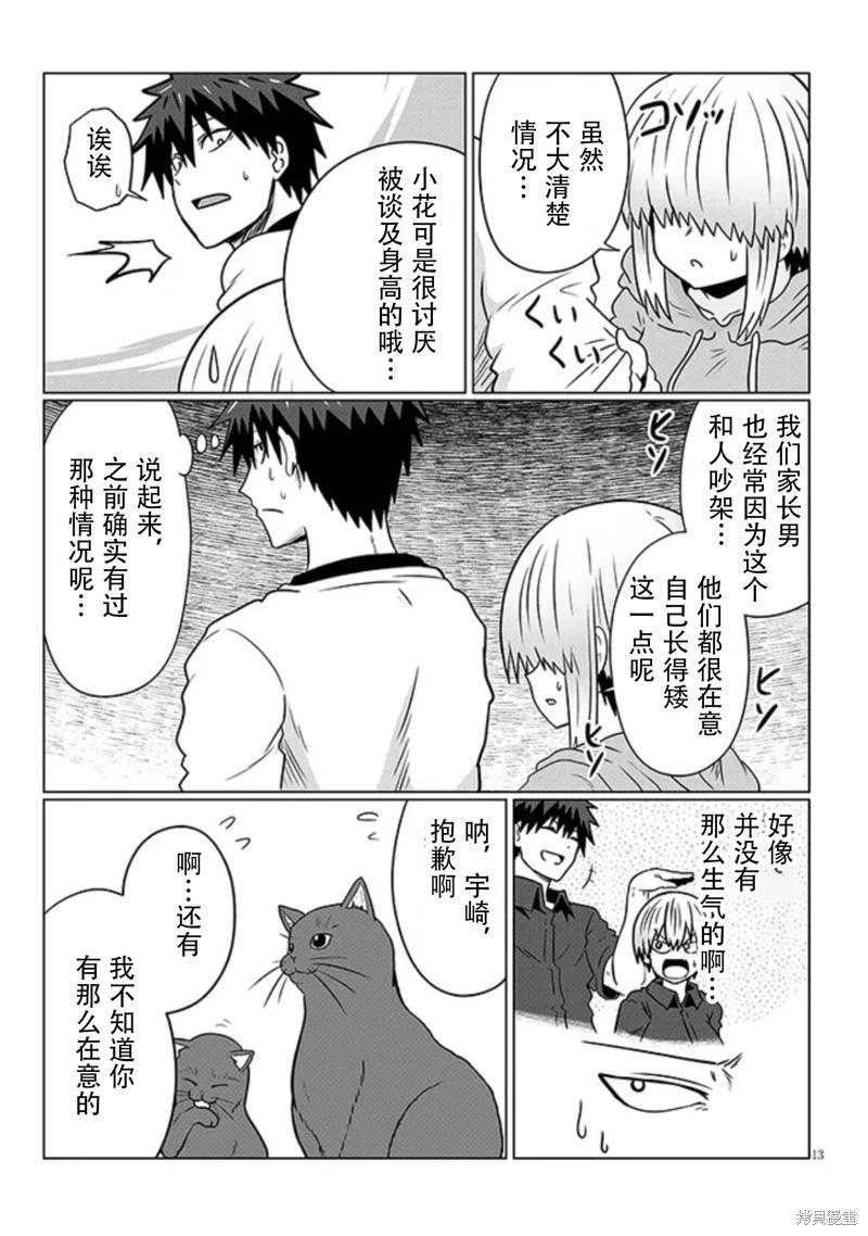 第 13 页