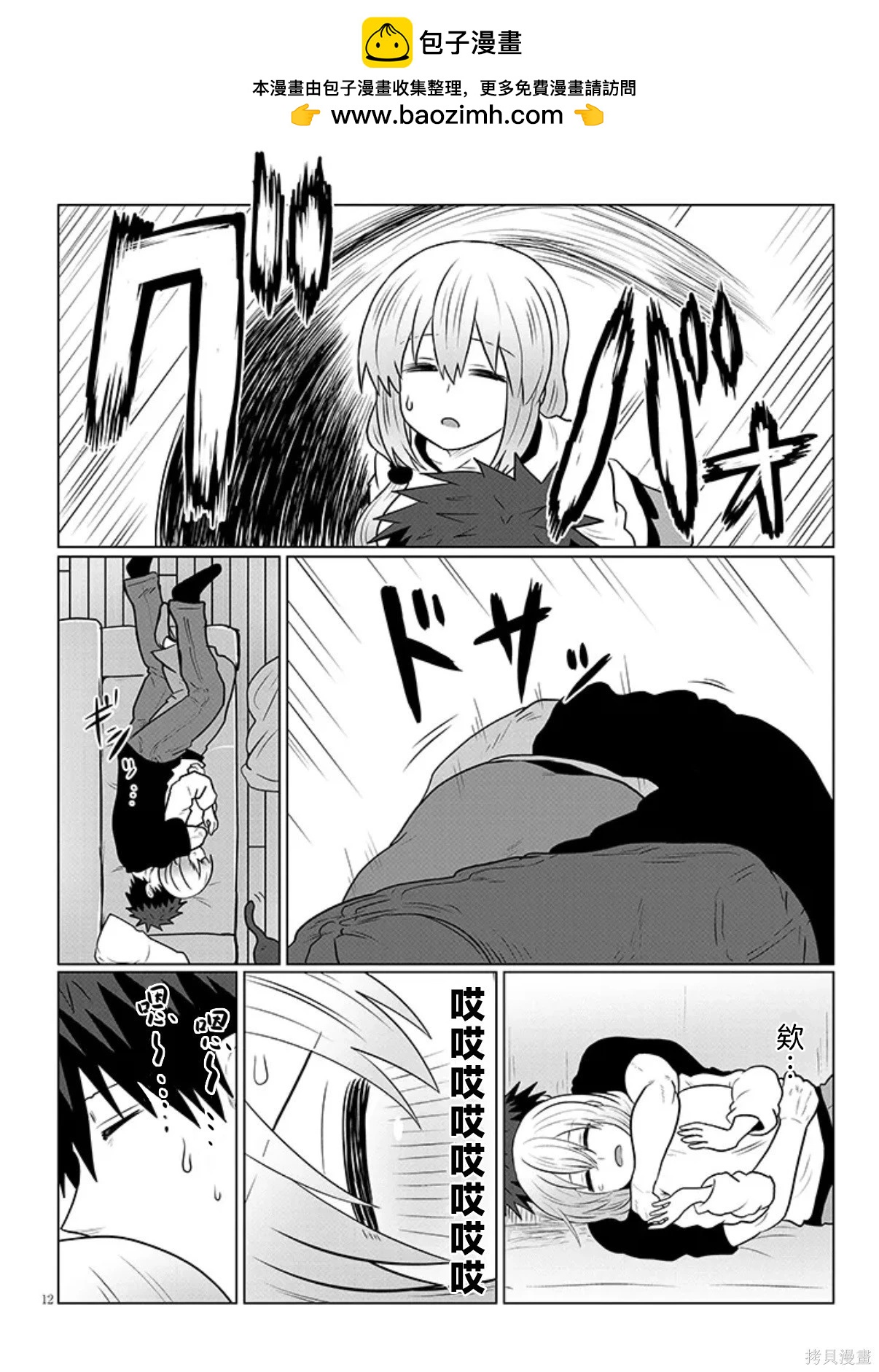 第 12 页