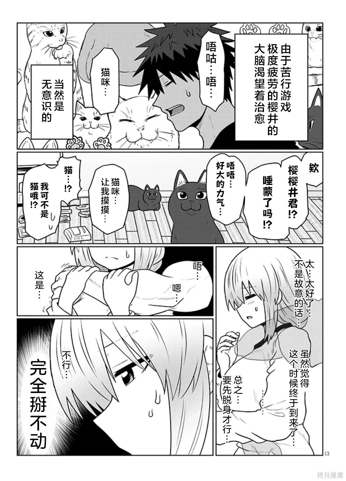 第 13 页