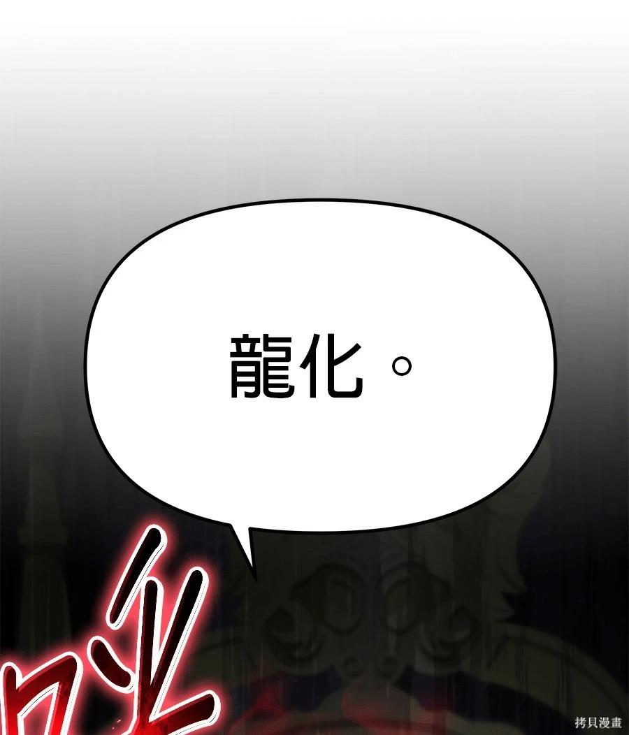 第 223 页