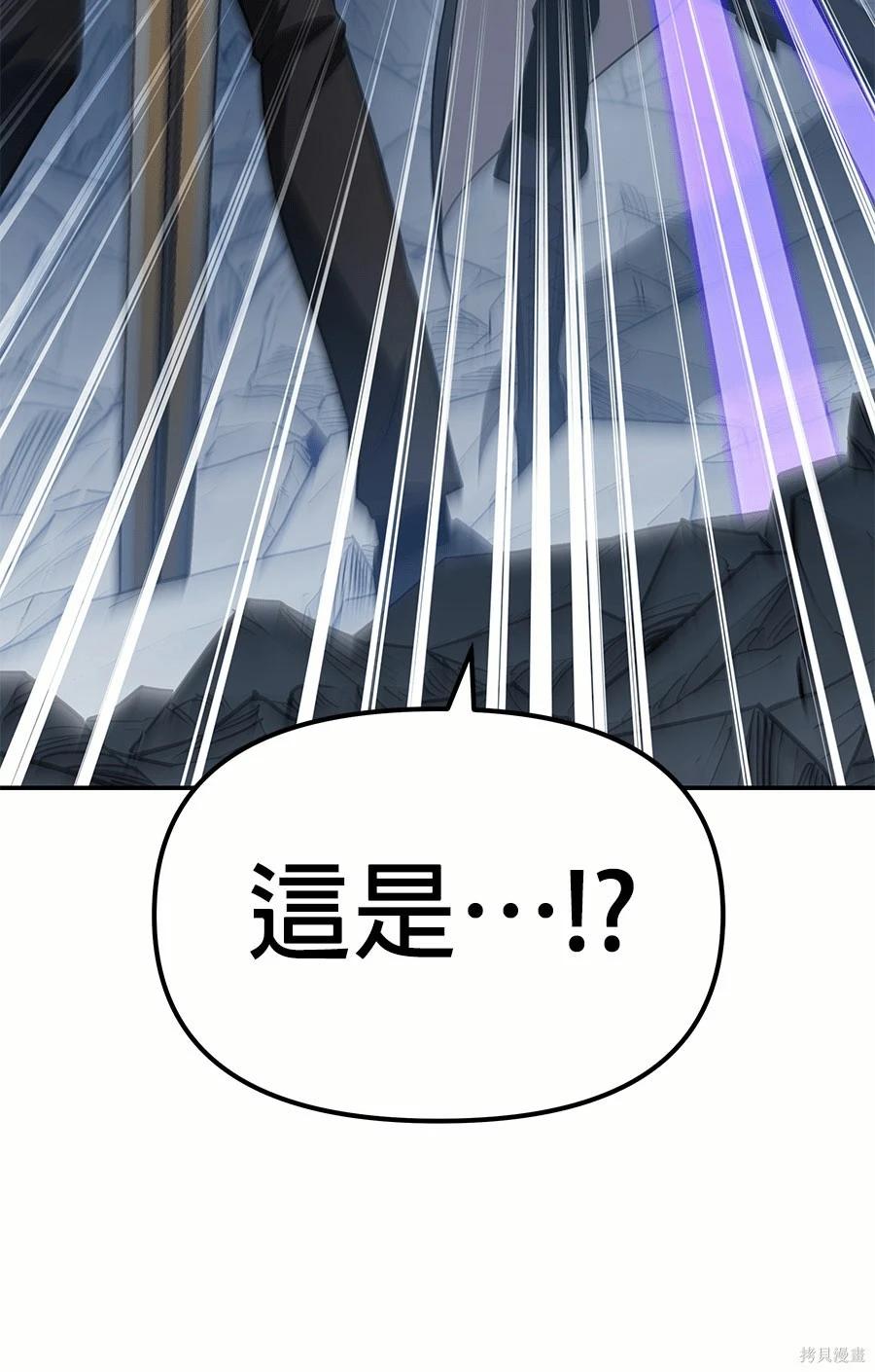 第 238 页