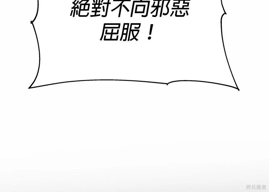 第 245 页
