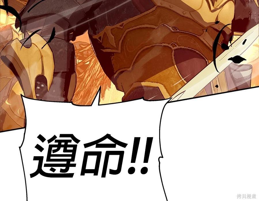 第 113 页