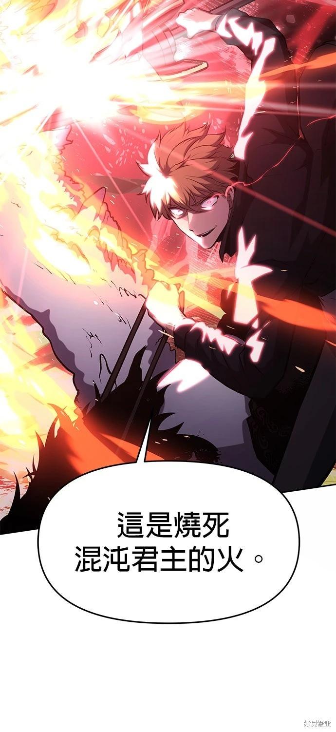 第 113 页