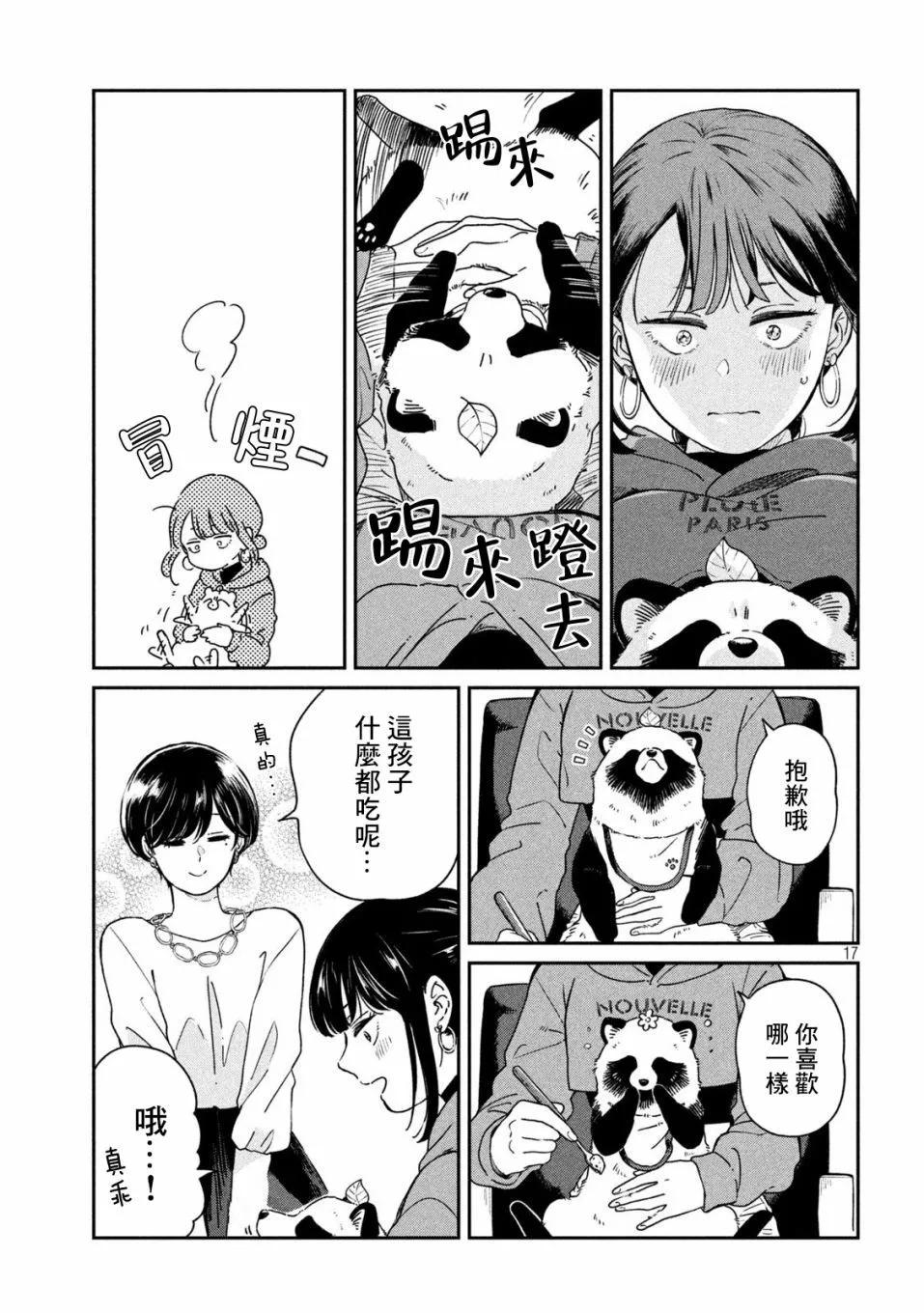 第 17 页