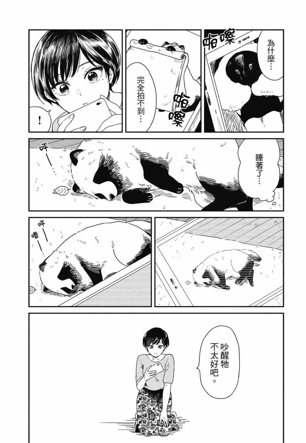 第 47 页