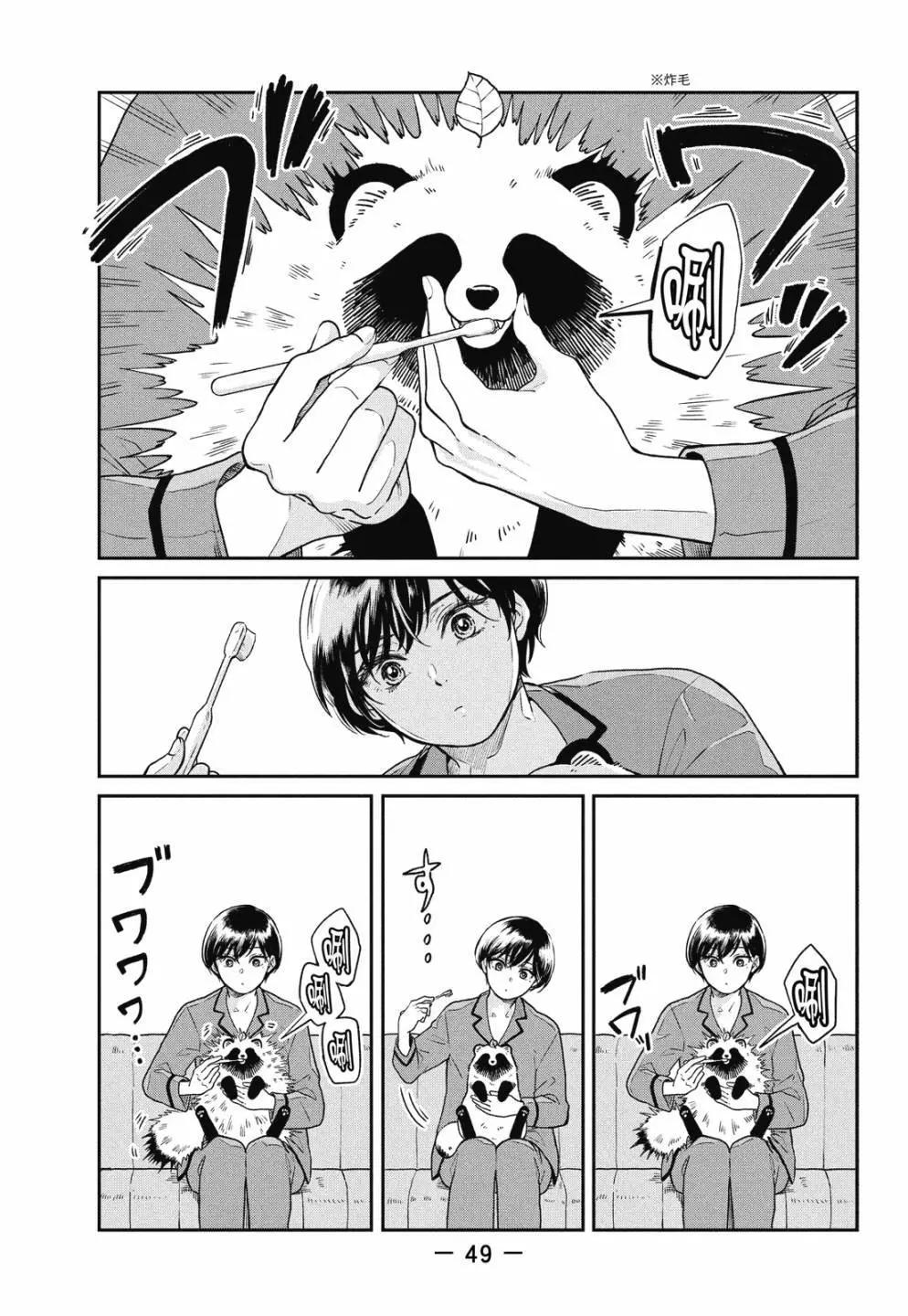 第 51 页