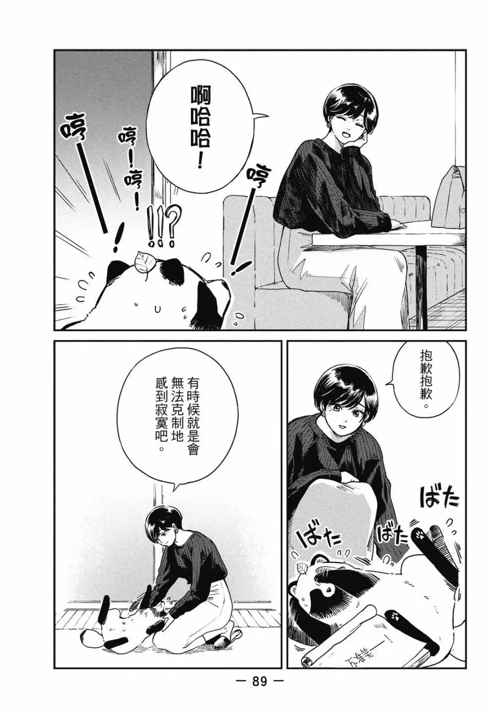 第 91 页
