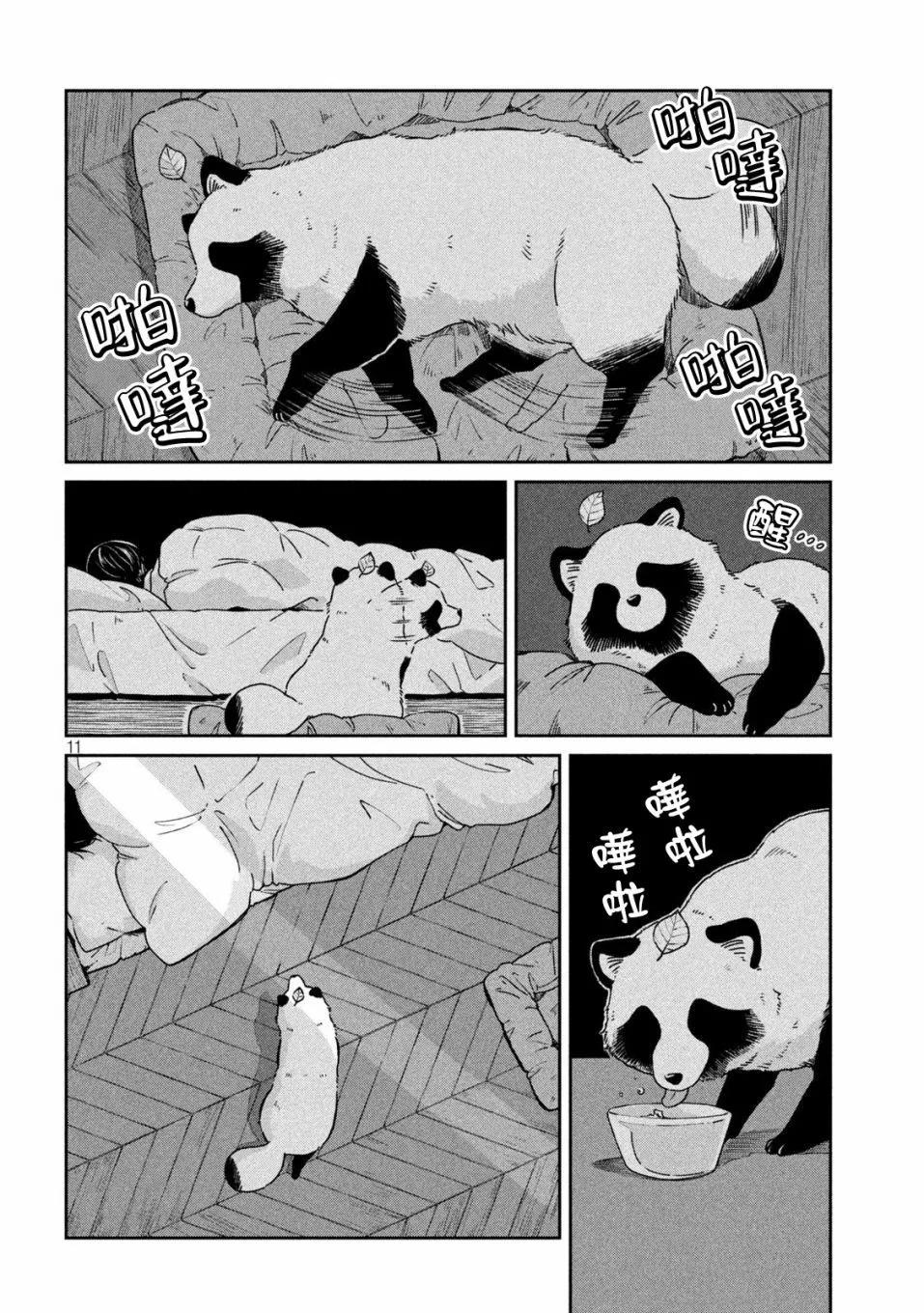 第 11 页