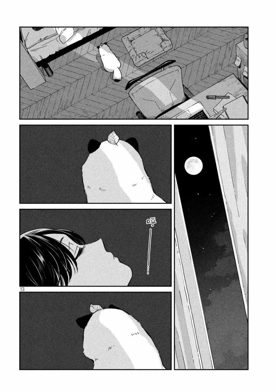 第 13 页