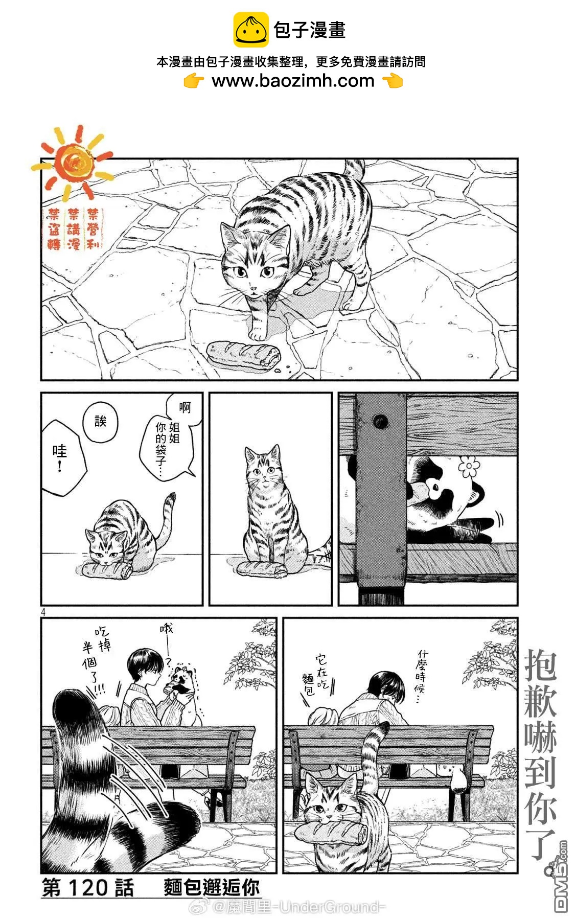 第 4 页